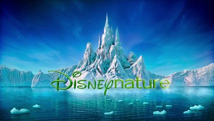 Blue EXTRAIT "Les dauphins"