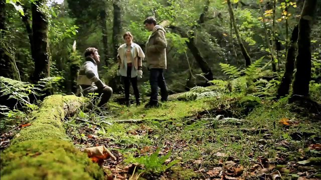 A Night in the Woods Bande-annonce VO