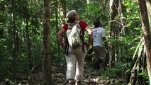 Voyage Bolivien - Du Pacifique à l'Amazonie Bande-annonce VF