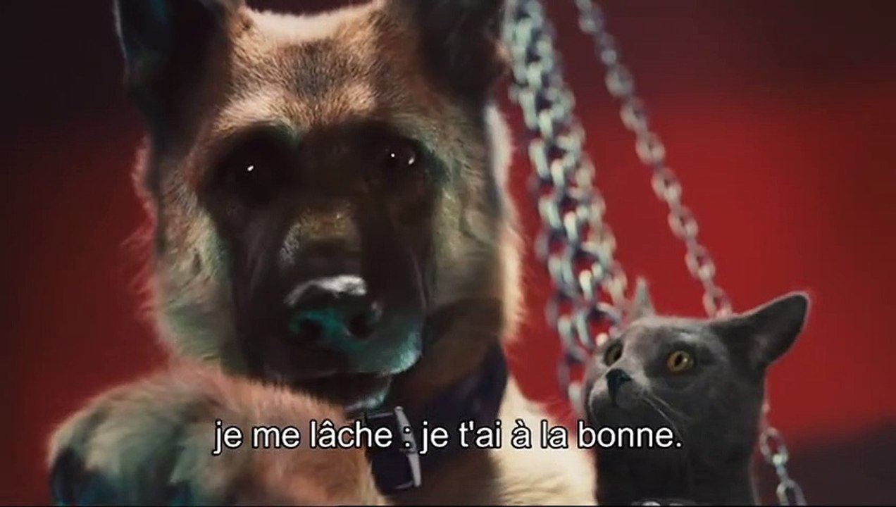 Comme chiens et chats - La Revanche de Kitty Galore Extrait vidéo (2) VO