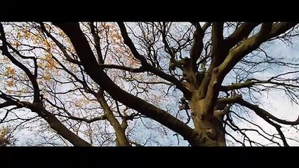 Tolkien BONUS VO "L'influence de l'auteur"