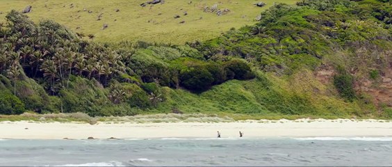 Instinct de survie - The Shallows - EXTRAIT VOST "L&#039;attaque"