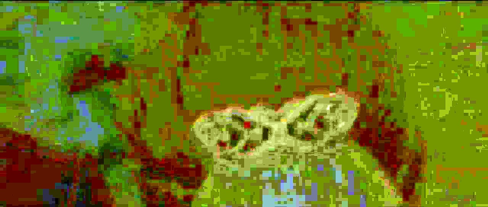 Twilight - Chapitre 4 : Révélation 1ère partie Extrait vidéo (3) VF