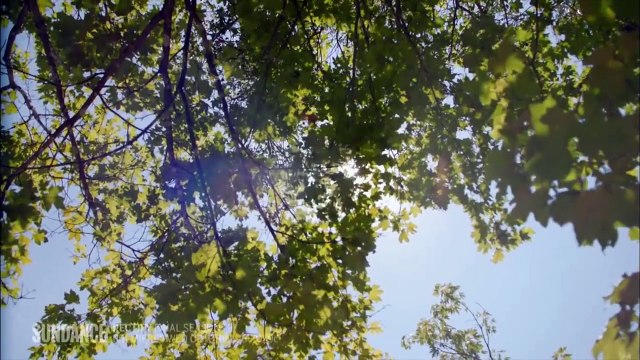 Rectify - saison 4 Bande-annonce (2) VO