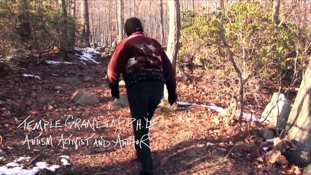 In the Woods Bande-annonce VO