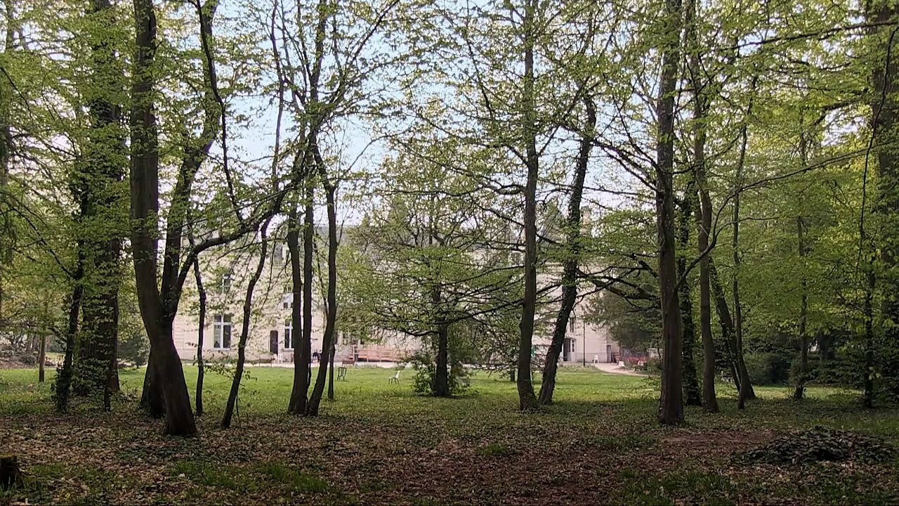 Au jour le jour, à la nuit la nuit Bande-annonce VF