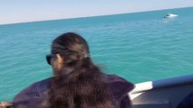 Tunus açıklarında batan akaryakıt gemisindeki 4'ü Türk 7 mürettebat kurtarıldı