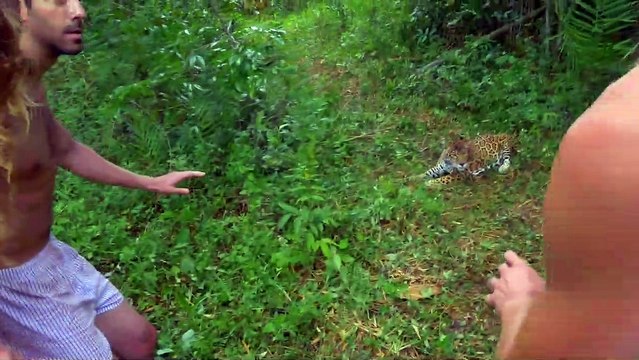 Babysitting 2 - EXTRAIT VF La panthère