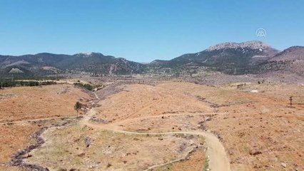 Yanan orman alanlarında gelir getirici fidanlar yeşerecek