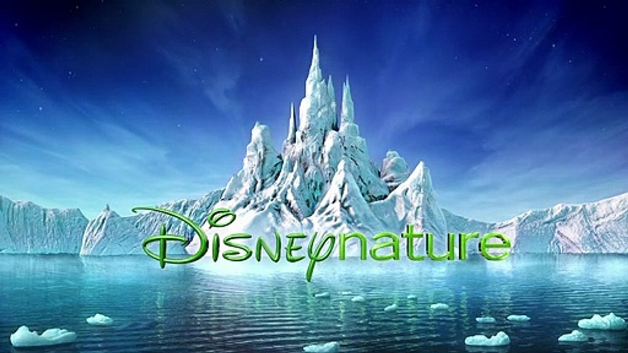 Félins Reportage VF