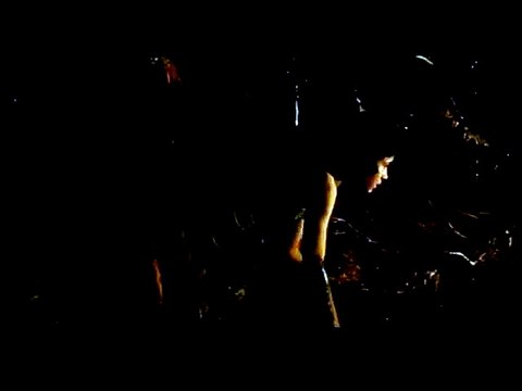 Le Labyrinthe de Pan Extrait vidéo (3) VO