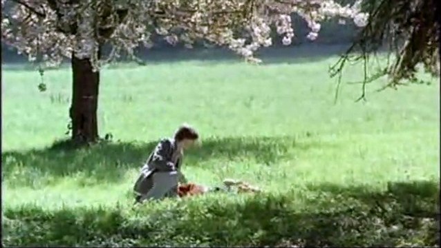 Un monde presque paisible Bande-annonce (2) VF