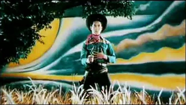 Les Larmes du Tigre Noir Bande-annonce VF