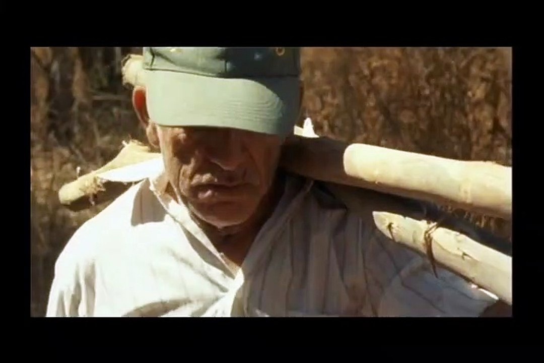 Huacho Bande-annonce VO