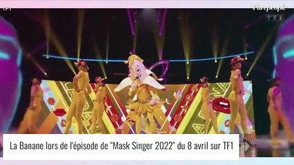 Mask Singer - la Banane : Tous les indices dévoilés