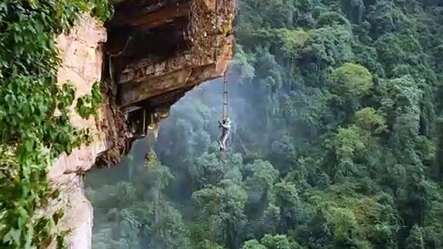 Bienvenue sur Terre - saison 1 Bande-annonce (2) VO