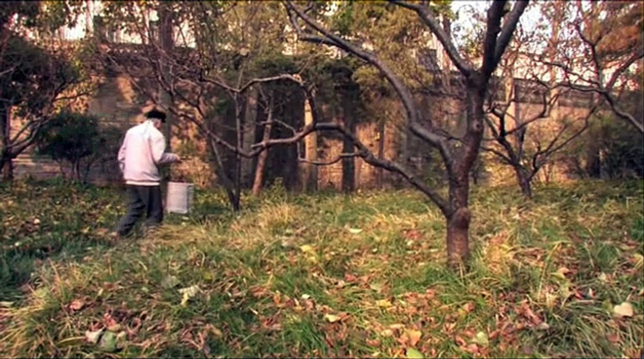 Rues de Pékin Bande-annonce VF