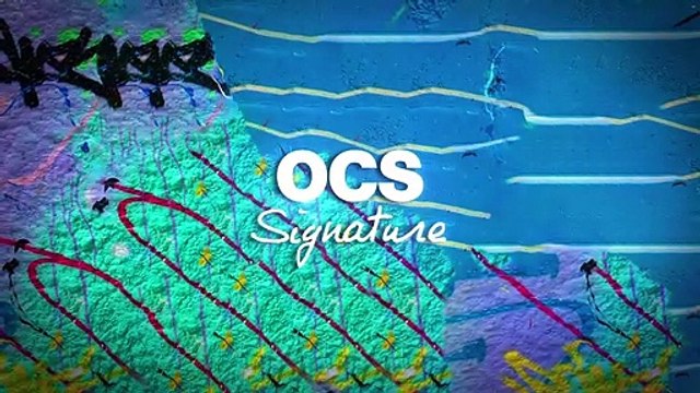 Hashtag Boomer - saison 1 Bande-annonce VF