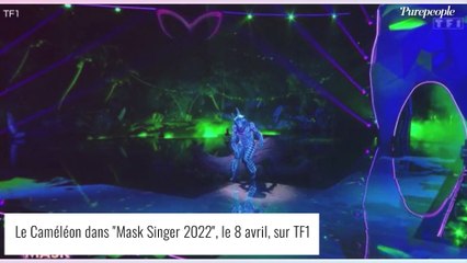 Mask Singer - le Caméléon : Tous les indices dévoilés