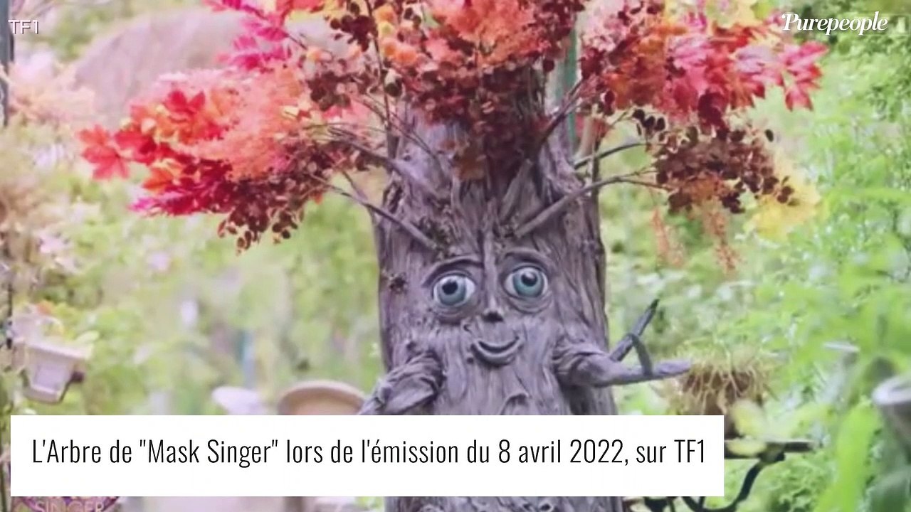 Mask Singer - l'Arbre : Tous les indices dévoilés
