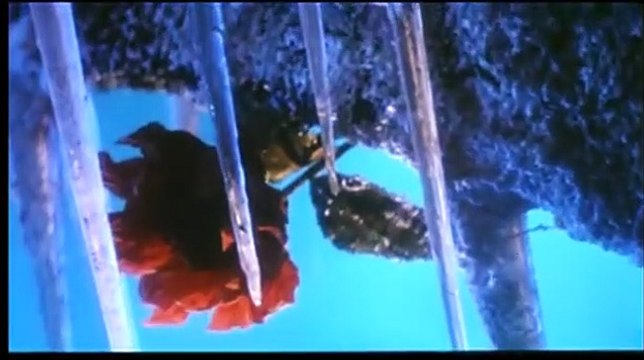 La Mariée aux cheveux blancs 2 Bande-annonce VO