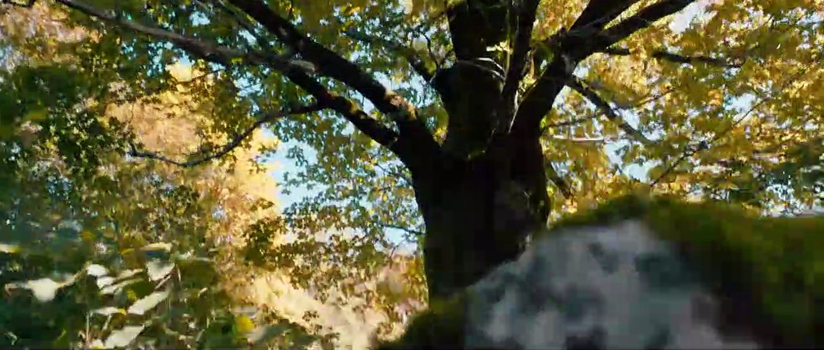 Mystère EXTRAIT VF "Bienvenue dans la famille"