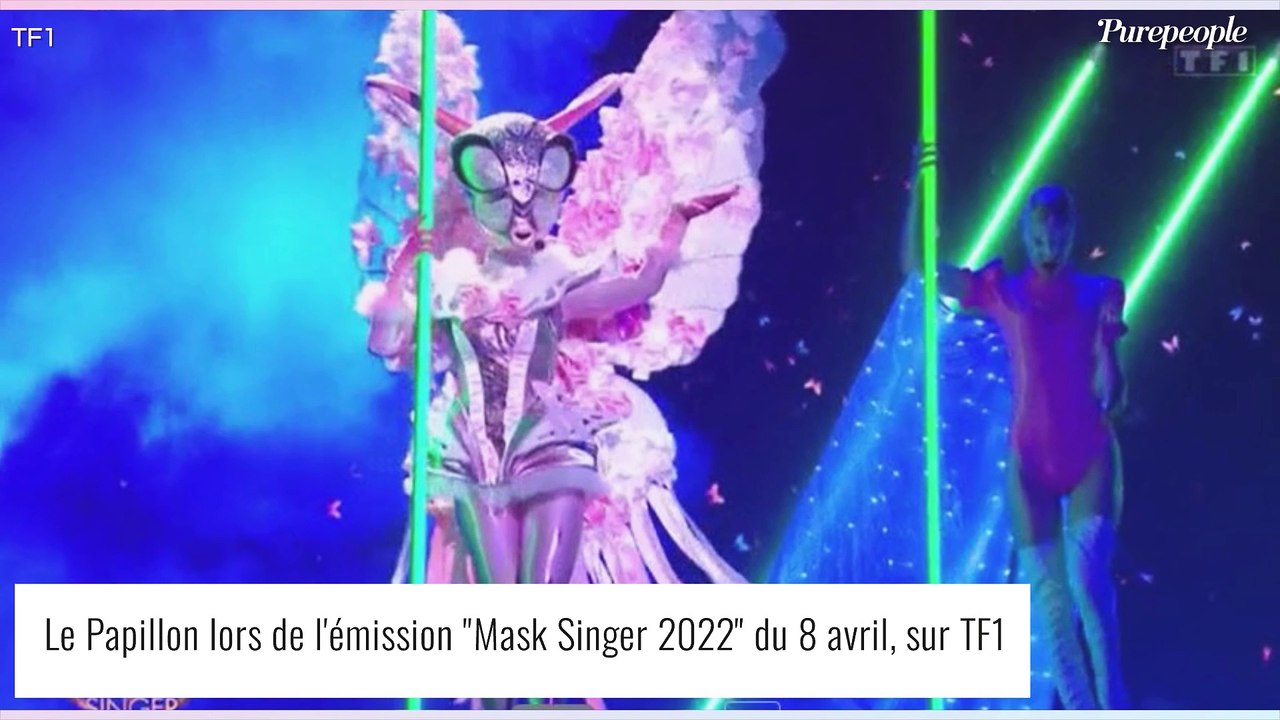 Mask Singer - le Papillon : Tous les indices dévoilés