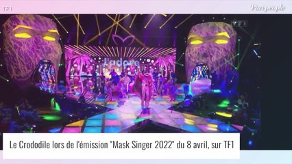 Mask Singer - le Crocodile : Tous les indices dévoilés