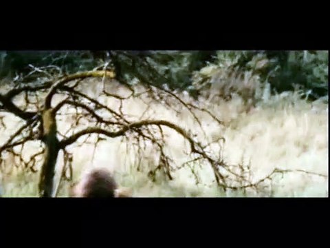 Charlotte Gainsbourg, Lars von Trier Interview : Antichrist