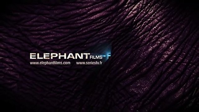 La Sentinelle du Pacifique Bande-annonce VO