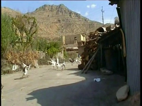 Baghdad on/off Bande-annonce VO