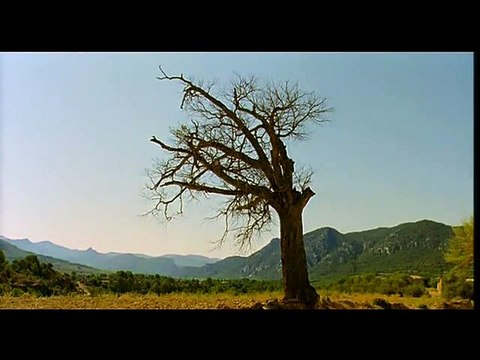 Jours d'août Extrait vidéo VO