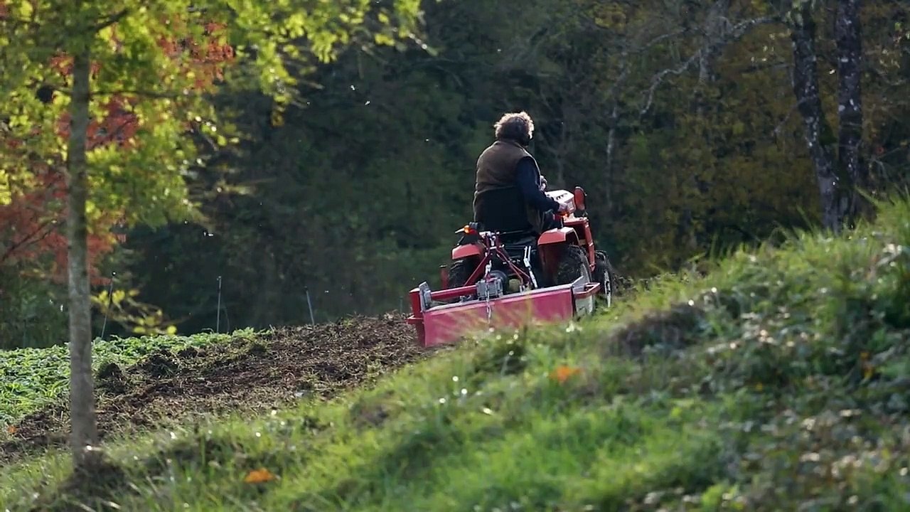 Souviens-toi de ton futur Bande-annonce VF