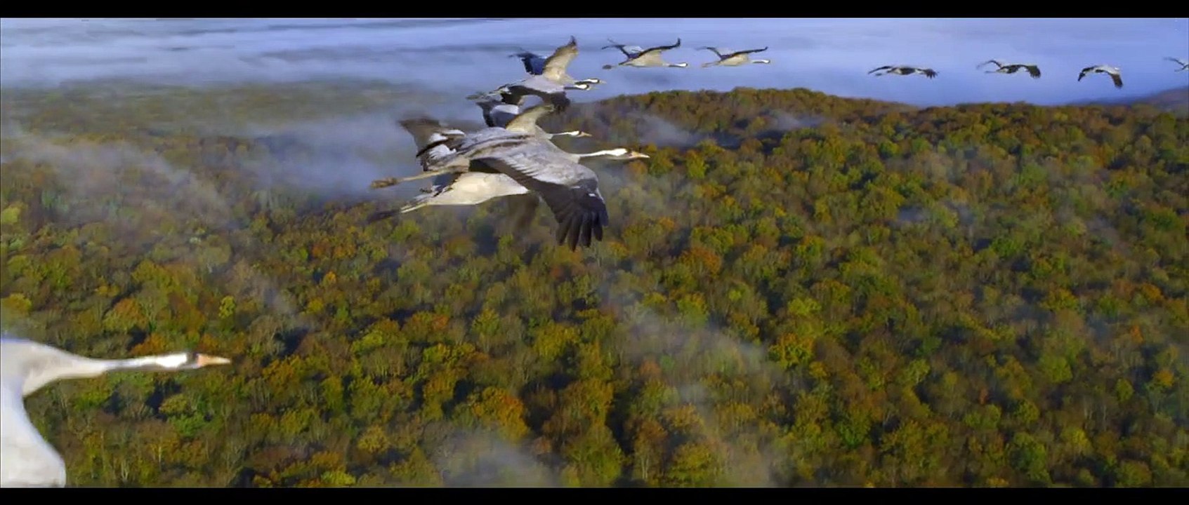 Les Saisons Teaser VF