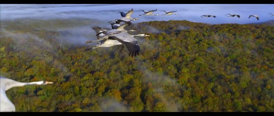 Les Saisons Teaser VF