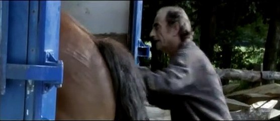 Pom le poulain Extrait vidéo (2) VF