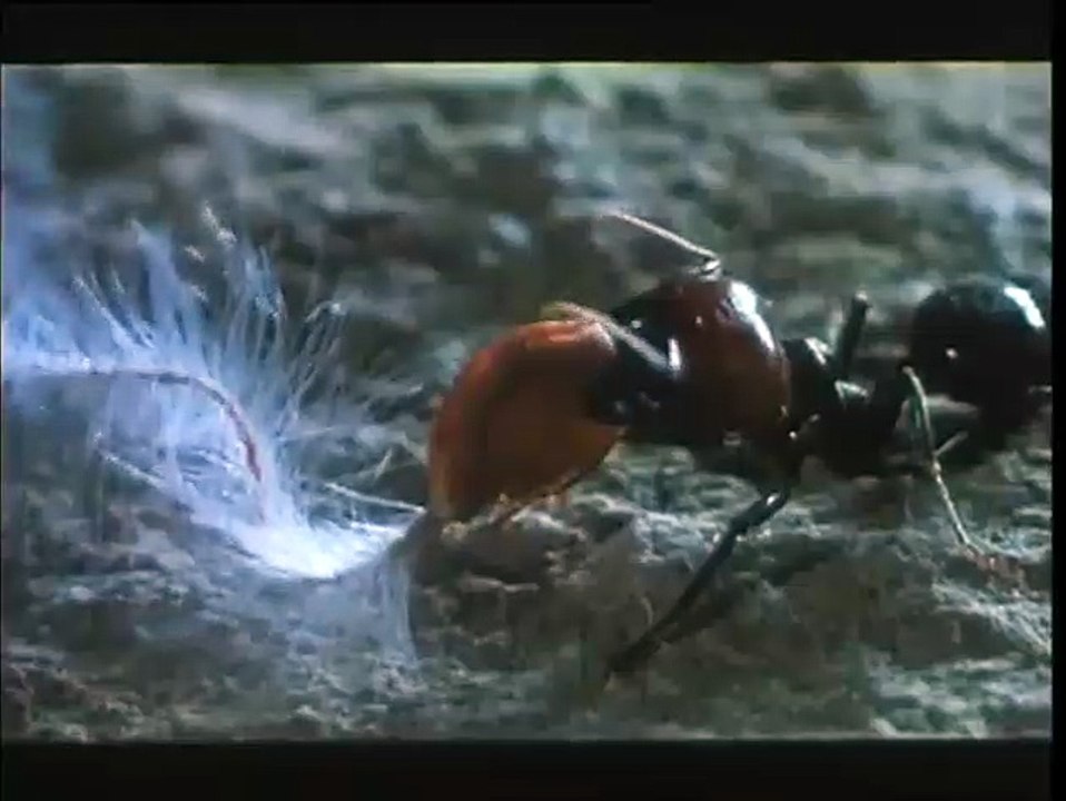 Microcosmos: Le peuple de l'herbe Bande-annonce VF