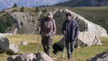 Marche avec les loups Bande-annonce VF