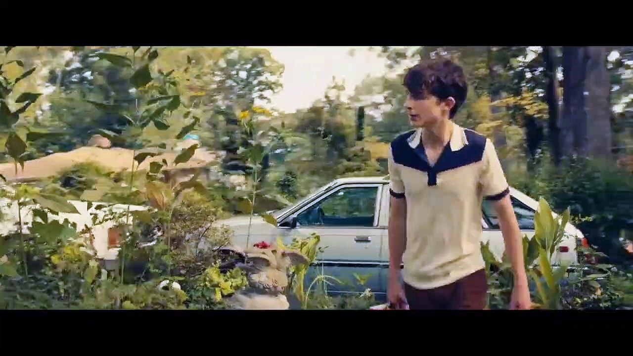 Chaudes nuits d'été Bande-annonce VF