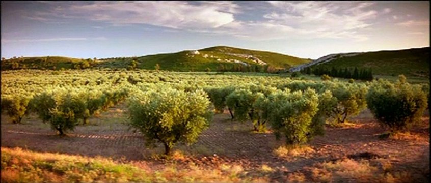 Bienvenue au gîte Bande-annonce VF