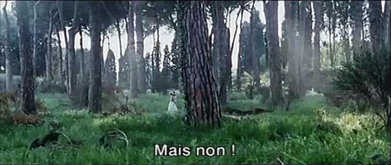 Soie Extrait vidéo (3) VO