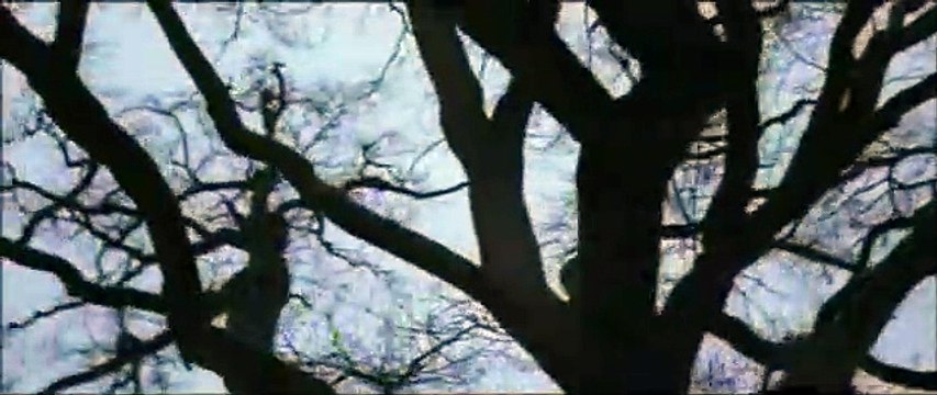 Cette femme-là Extrait vidéo (2) VF