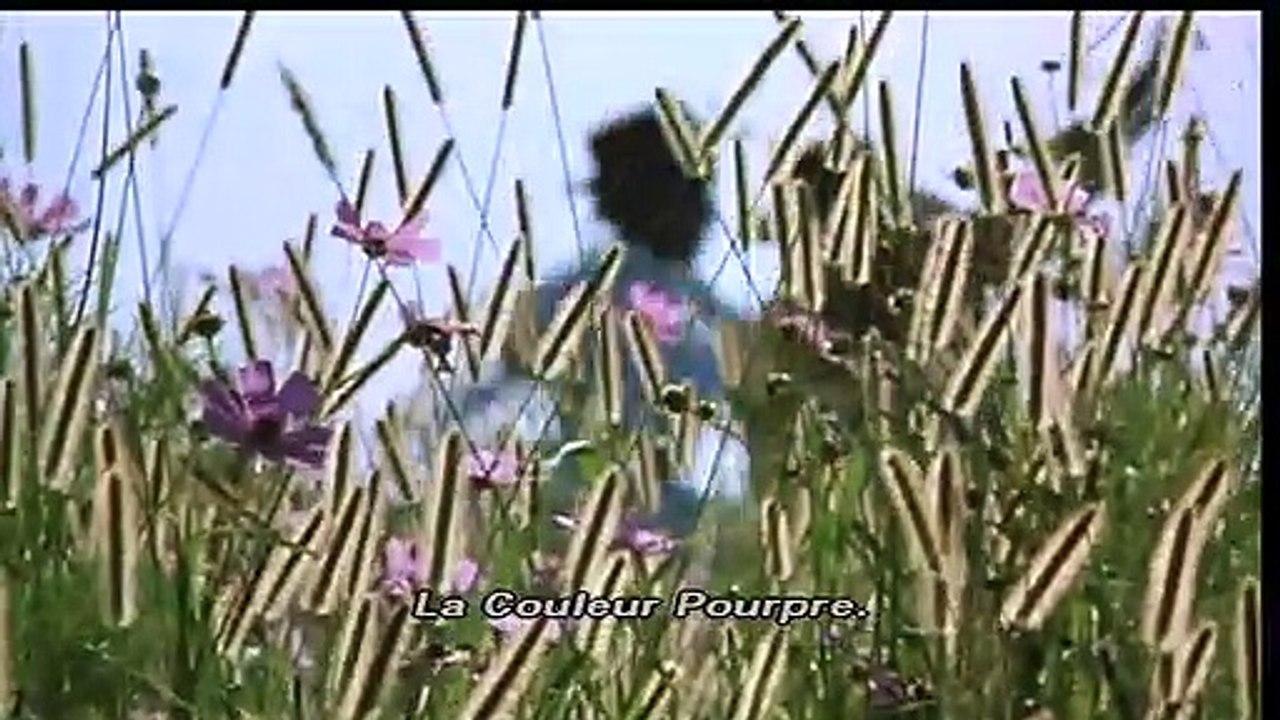 La Couleur pourpre Bande-annonce (2) VO