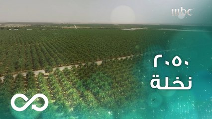 وقف عظيم يحتوي 2050 نخلة وينتج 8200 طن ويمتلك واحد من أهم مراكز الأبحاث