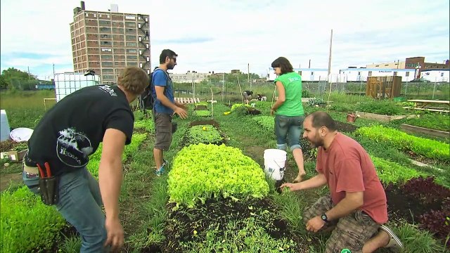 Hubert Reeves - La Terre vue du coeur Bande-annonce VF