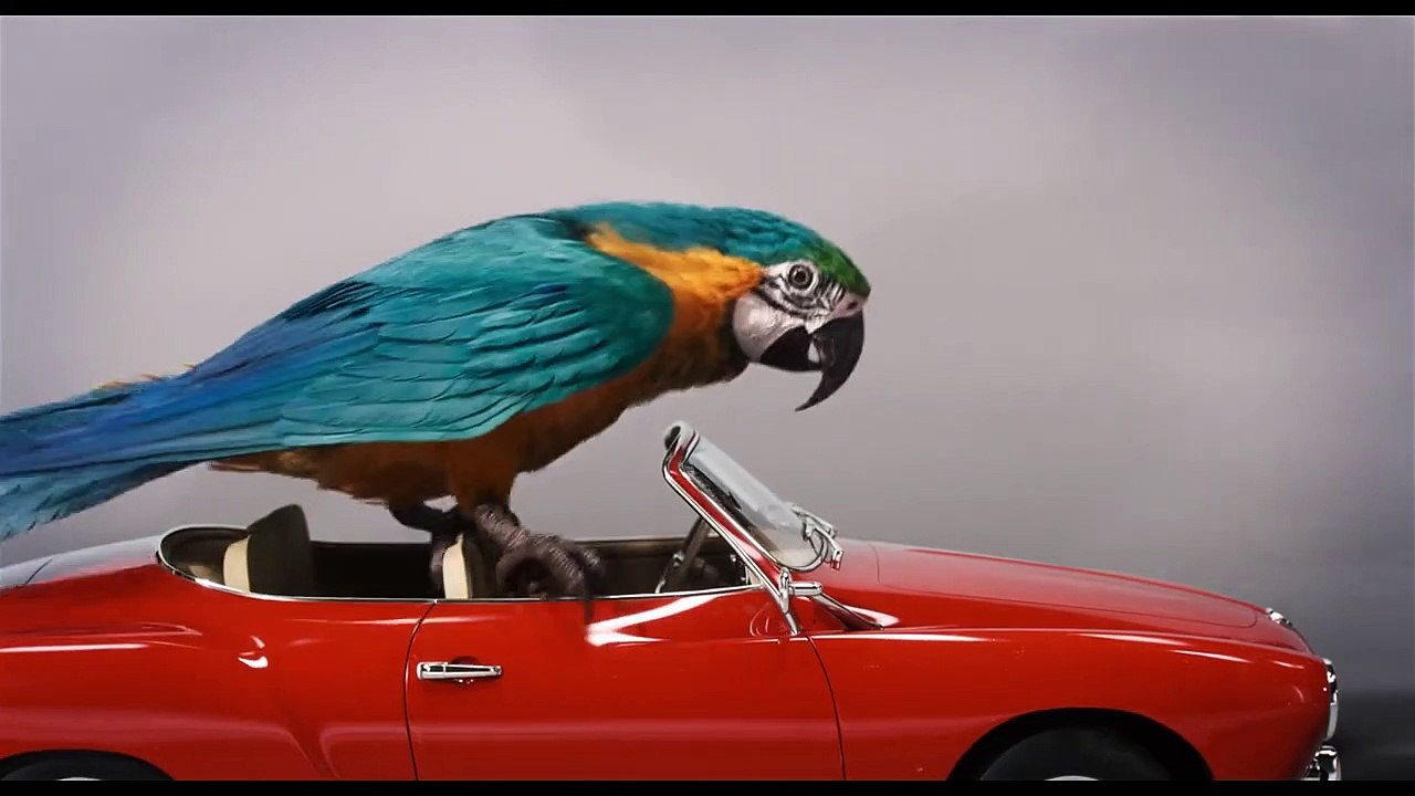 Le Voyage du Dr Dolittle BONUS VO "Les auditions"