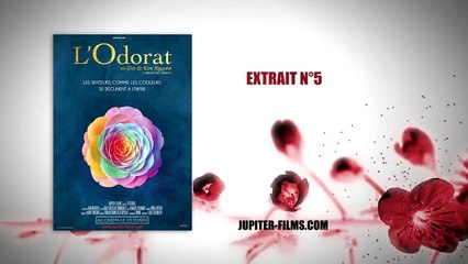 L'Odorat - EXTRAIT "Le fonctionnement"