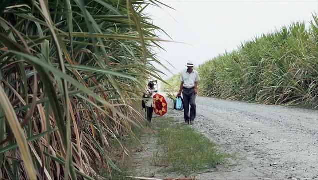 La Terre et l'ombre Bande-annonce VO