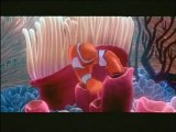 Le Monde de Nemo Extrait vidéo VF