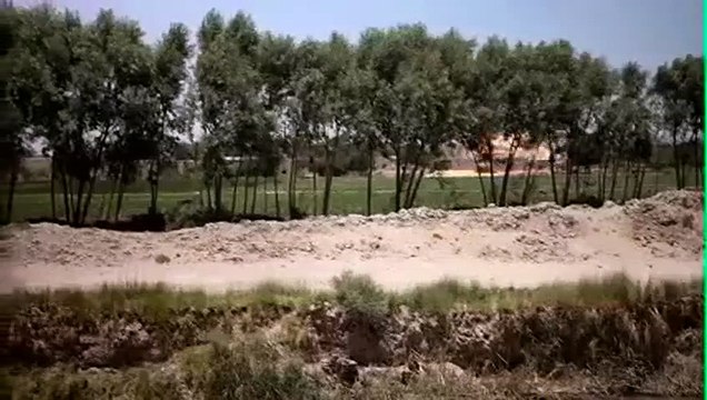 Hell and Back Again Bande-annonce VO